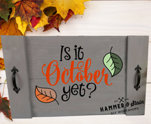 10.21.23 TJ - Farmhouse Trays